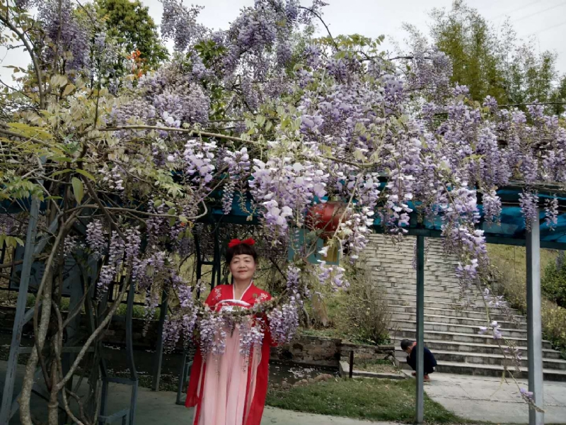 莉莉的第一张照片--泰宁征婚网