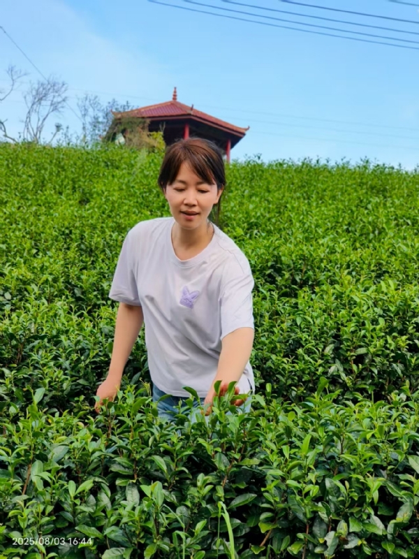 Q绮芳的第一张照片--泰宁征婚网